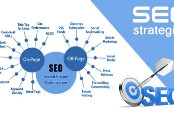 SEO service provider